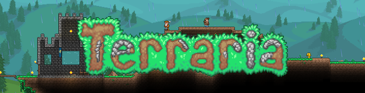 TERRARIA HEAD