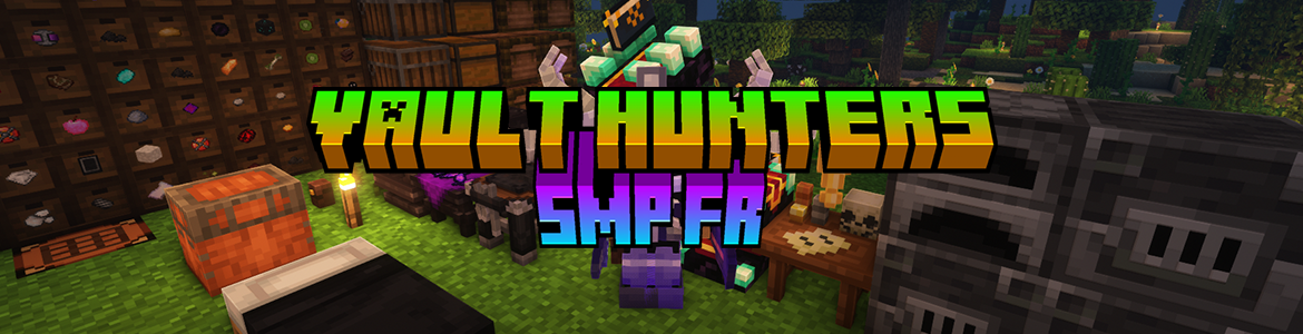 VAULT HUNTERS SMP FR HEAD