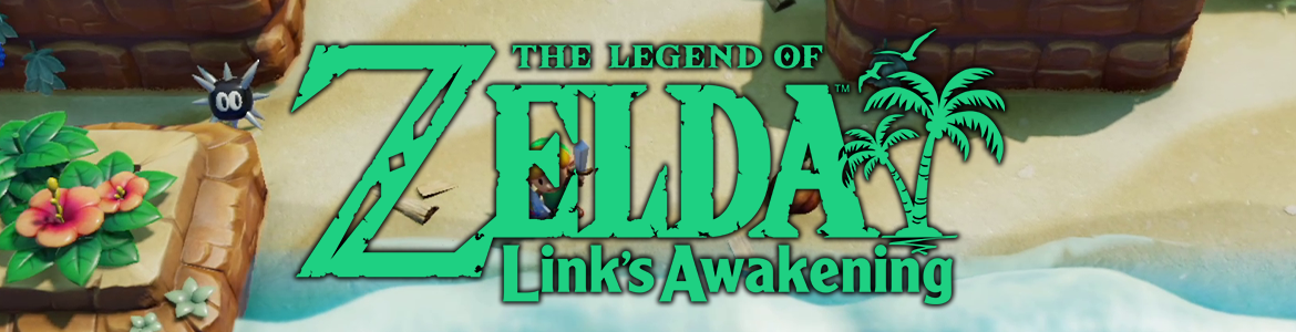 ZELDA LINKS AWAKENING SWITCH HEAD