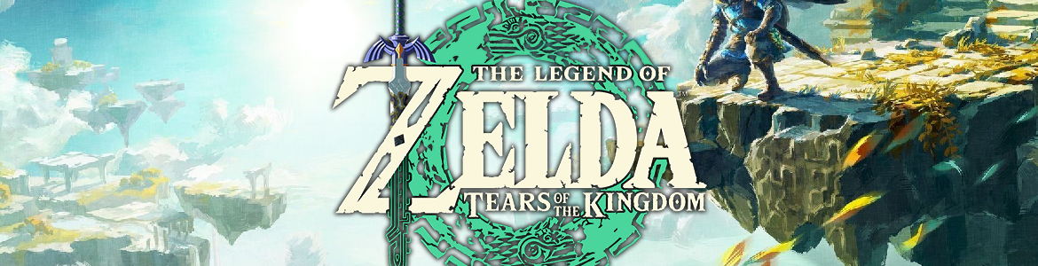 ZELDA TEARS OF THE KINGDOM HEAD