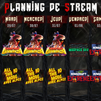 Planning de Stream Semaine 31 - 2025